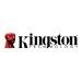KINGSTON 1TB Dual USB-A/C Portable SSD - SPSD/1TB